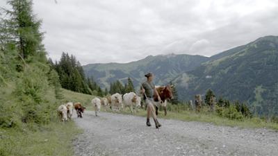 Almauftrieb im Salzburger Land: Heimat Österreich