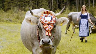 Almgeschichten aus der Steiermark: Land der Berge