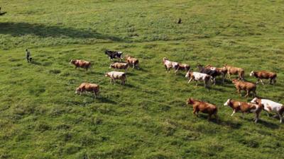 Almgeschichten aus Oberösterreich: Land der Berge