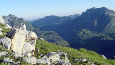 Almsommer: Universum