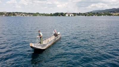 Am Attersee: Landleben