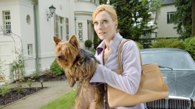 Arme Millionäre (6/8): Babyträume: Staffel 2