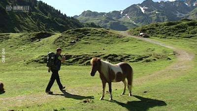 Auf dem Salzburger Almenweg: Harrys liabste Hütt'n
