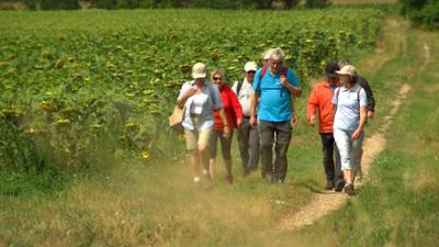 Auf verschlungenen Pfaden - Pannonisches Pilgern: Unser Österreich
