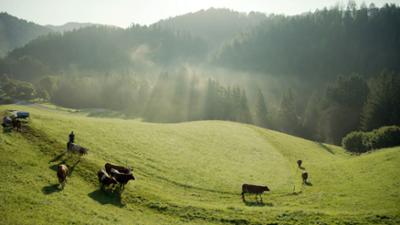 Das Bergsteigerdorf - Vom Leben in Lunz am See: Land der Berge