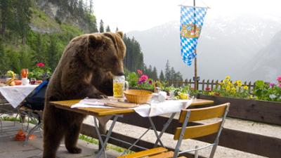 Der Bär ist los! Die Geschichte von Bruno: Ein Tier zwischen den Fronten