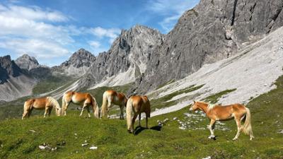 Der Tiroler Adlerweg: Naturwunder und Höhenflüge