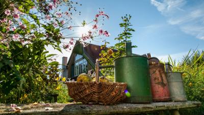 Die heimliche Wildnis: Wunderwelt Garten (1/2)