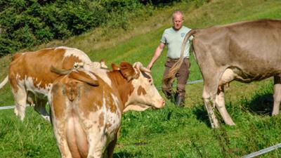 Durch den Pinzgau - Vom Rauriser Tal zum Hochkönig: Doku
