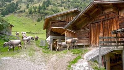 Durchs Stubaital: Landleben