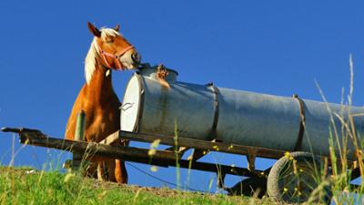 Erlebnis Österreich: Dokumentation