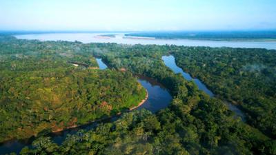 Expeditionen: Amazonien: Expedition in den Regenwald
