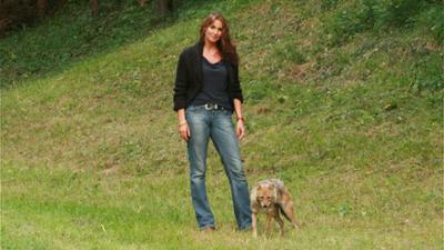 Expeditionen: Schakale unter uns