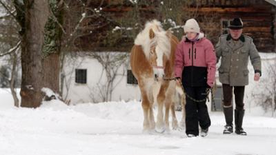 Im Lammertal: Regional-Doku