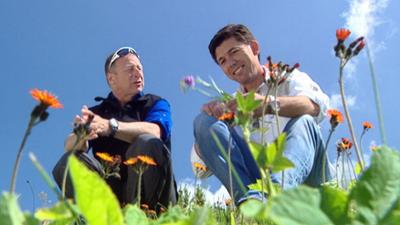 Kitzbühel Hahnenkamm, Tirol: Harrys liabste Hütt'n