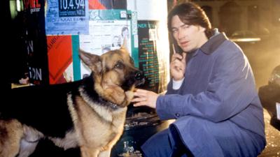 Kommissar Rex (14/14): Schüsse auf Rex: Staffel 1