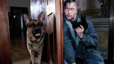 Kommissar Rex (5/14): Tanz auf dem Vulkan: Staffel 1