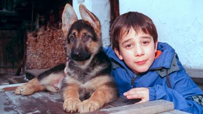 Kommissar Rex: Baby Rex - der kleine Kommissar: Staffel 4 | Filmspecial