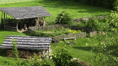 Minze, Mangold, alte Mauern - Gartenlust in Niederösterreich: Unser Österreich