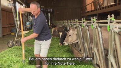 Nachrichten in Einfacher Sprache