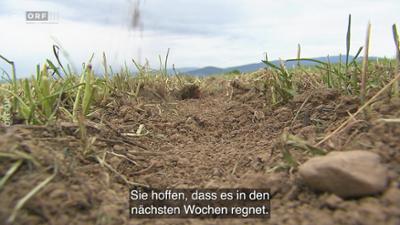 Nachrichten in Einfacher Sprache: Einfach informiert
