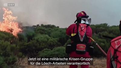 Nachrichten in einfacher Sprache