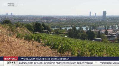 ORF III AKTUELL
