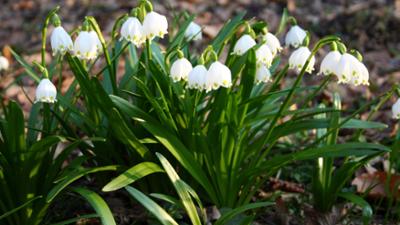 Pielach - Im Garten der Voralpen: Universum