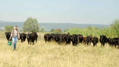 Rund um das Leithagebirge: Landleben