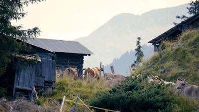 Rund um die Tuxer Alpen: Heimat Österreich