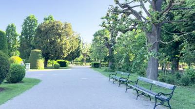 Spazierfahrt durch Schönbrunn: Schau-Fenster: Schönbrunn