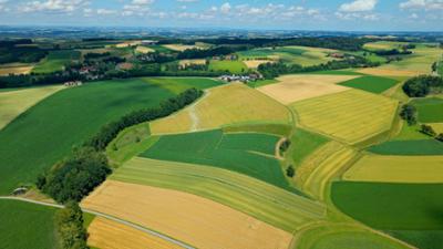 Sprachen der Berge: Die Innviertler Roas: Land der Berge
