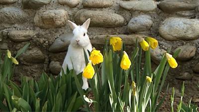 Steirische Ostern: Landleben