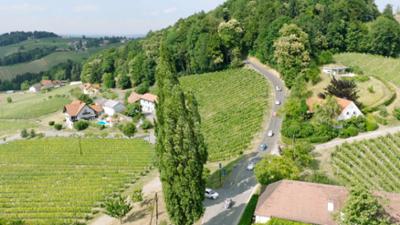 Südsteirische Träume: Heimat Österreich