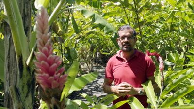Traumgärten auf La Réunion (1/2): Mit dem Biogärtner auf der Tropeninsel