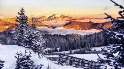 Unser Österreich: Sonne, Schnee und Pistenzauber - Wintertage in Niederösterreich