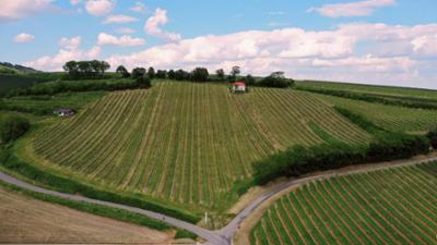 Vom Sonnenberg zum Goldberg - Wandern am Bernsteintrail: Land der Berge