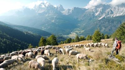 Von Hirtinnen und Wölfen: Land der Berge