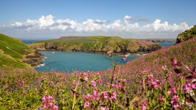 Wales - Britanniens schönste Wildnis: Universum