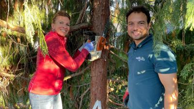 Wilder Garten - neu gemacht: Ein Lieblingsort für Mensch und Tier