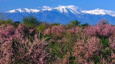 Wildes Griechenland: Universum