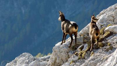 Wildes Wasser, blanker Fels - Nationalpark Gesäuse: Universum
