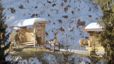 Winter im Paznaun: Heimat Österreich