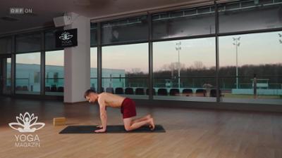 Yoga Magazin: Yoga-Magazin