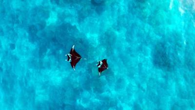 Afrika - Kontinent der Vielfalt: Afrika: Kontinent der Vielfalt – Tradition und Moderne