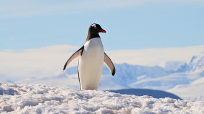 Das Ende des Paradieses?: Das Ende des Paradieses - Klimawandel am Polarkreis