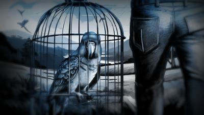 Das Millionengeschäft des Vogelschmugglers