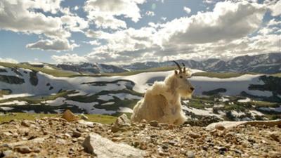 Die Rockies: (1/2) · Lernen fürs Leben