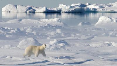 Ein Jahr in Kanadas Wildnis: Winter · Ein Jahr in Kanadas Wildnis