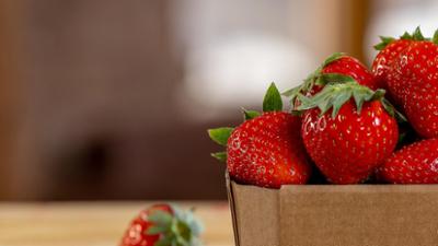 Erdbeeren - Genuss mit Beigeschmack